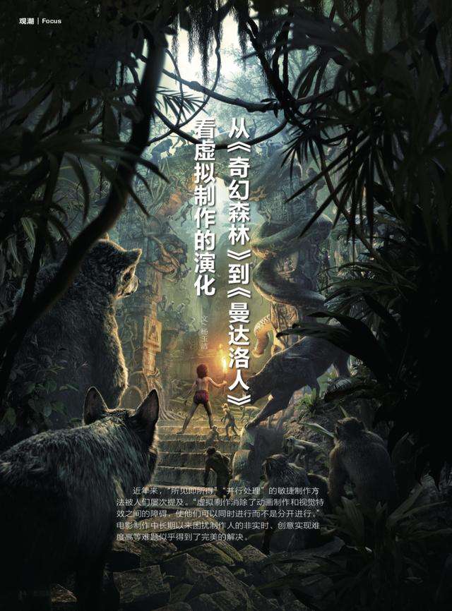 虚拟货森林币(森林币行情)